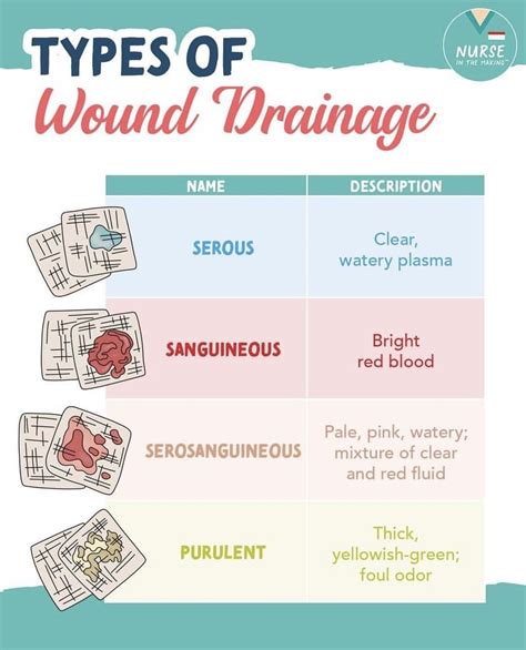 Common Types of Wound Drainage and How to Take。